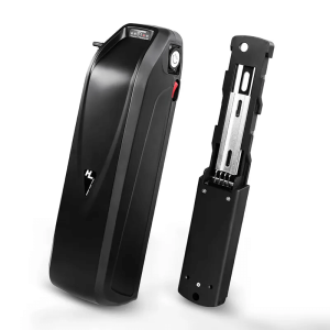 Hailong elektrinio paspirtuko ebike baterija 48V 15Ah